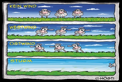 Hösti Postkarte Windschafe