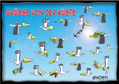 Hösti Postkarte Grüße von der Küste (Möwe)