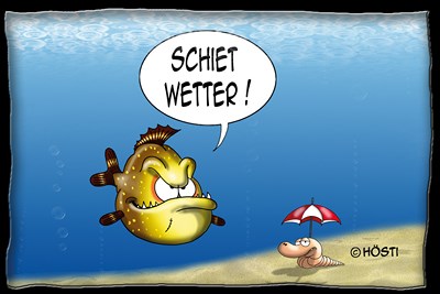 Hösti Postkarte Schiet Wetter!