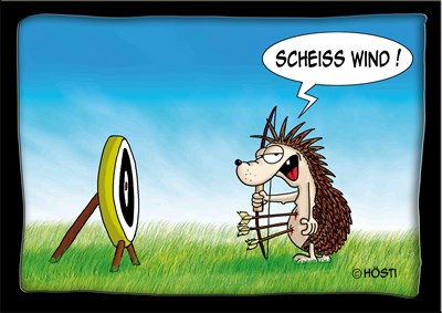 Hösti Postkarte Scheiss Wind