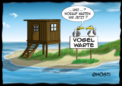 Hösti Postkarte "Vogelwarte"