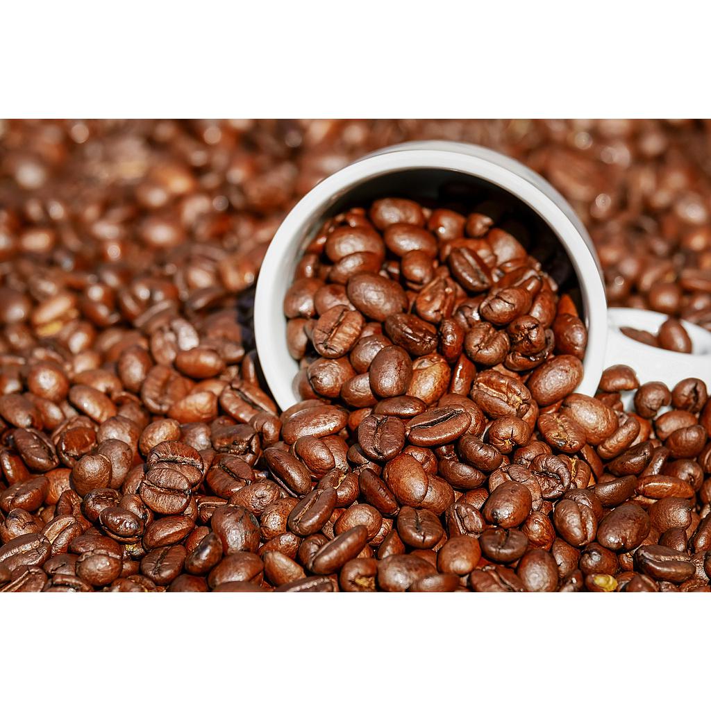 Macadamia Nuss - 500g