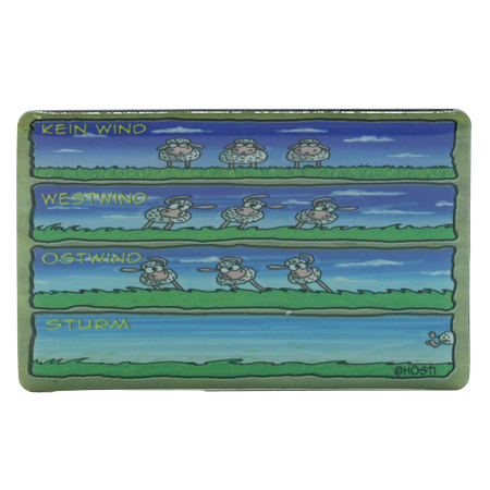 Hösti Foto Magnet   Windschafe