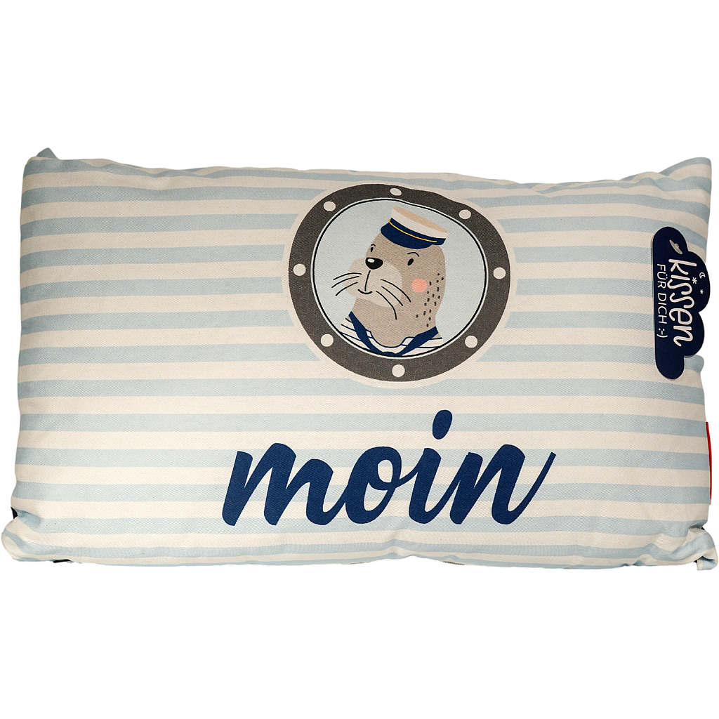 Kissen 25x40cm Moin